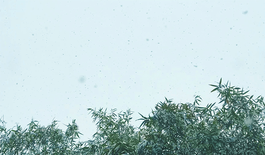 雪天稳产无忧！好色软件大全好色先生在线观看冬季适配方案 + 专业维护指南